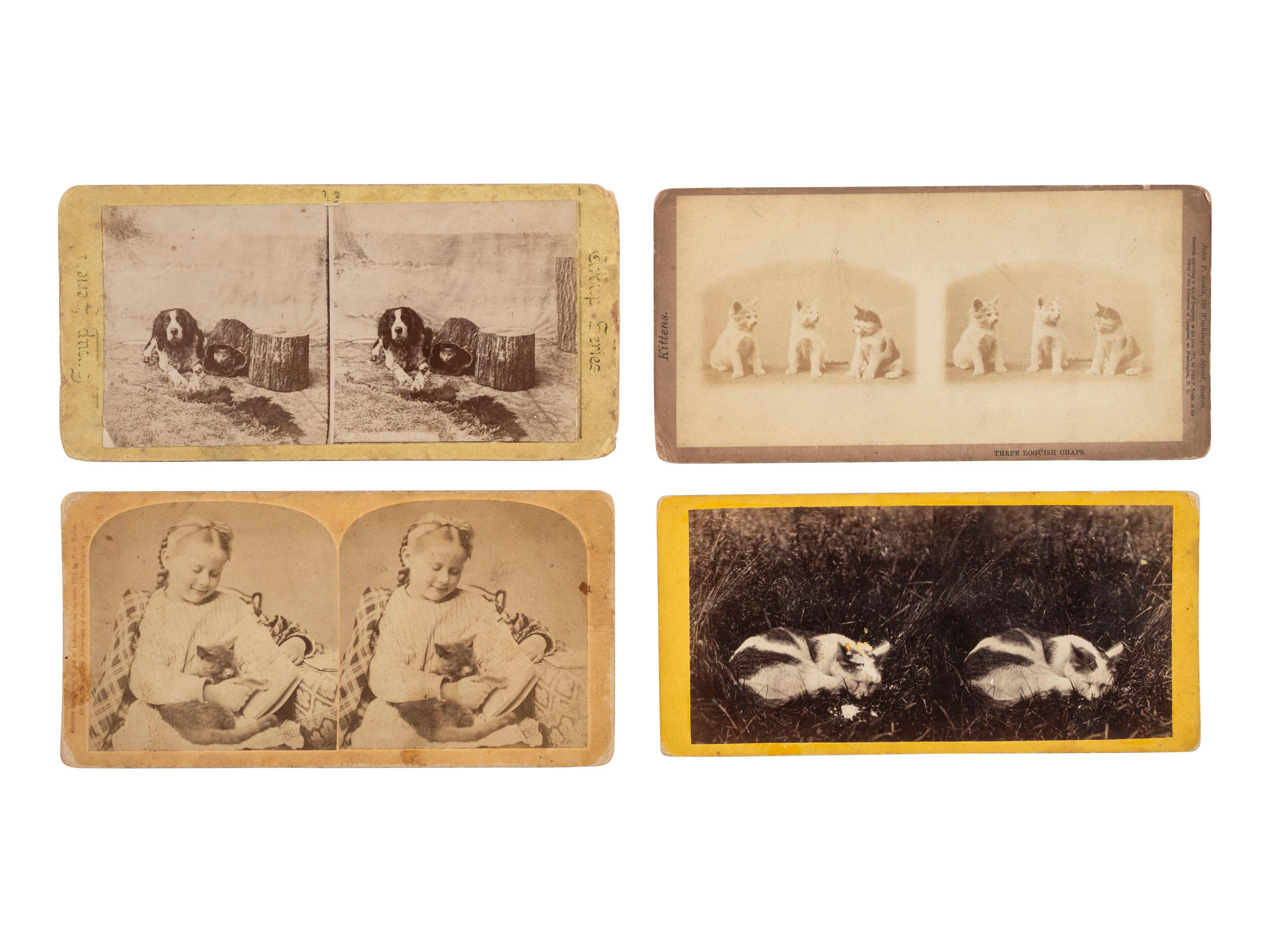 [EARLY PHOTOGRAPHY]. 9 mounted photographs of cats, incl. examples by SOULE, BURNHAM, and PARTRIDGE.