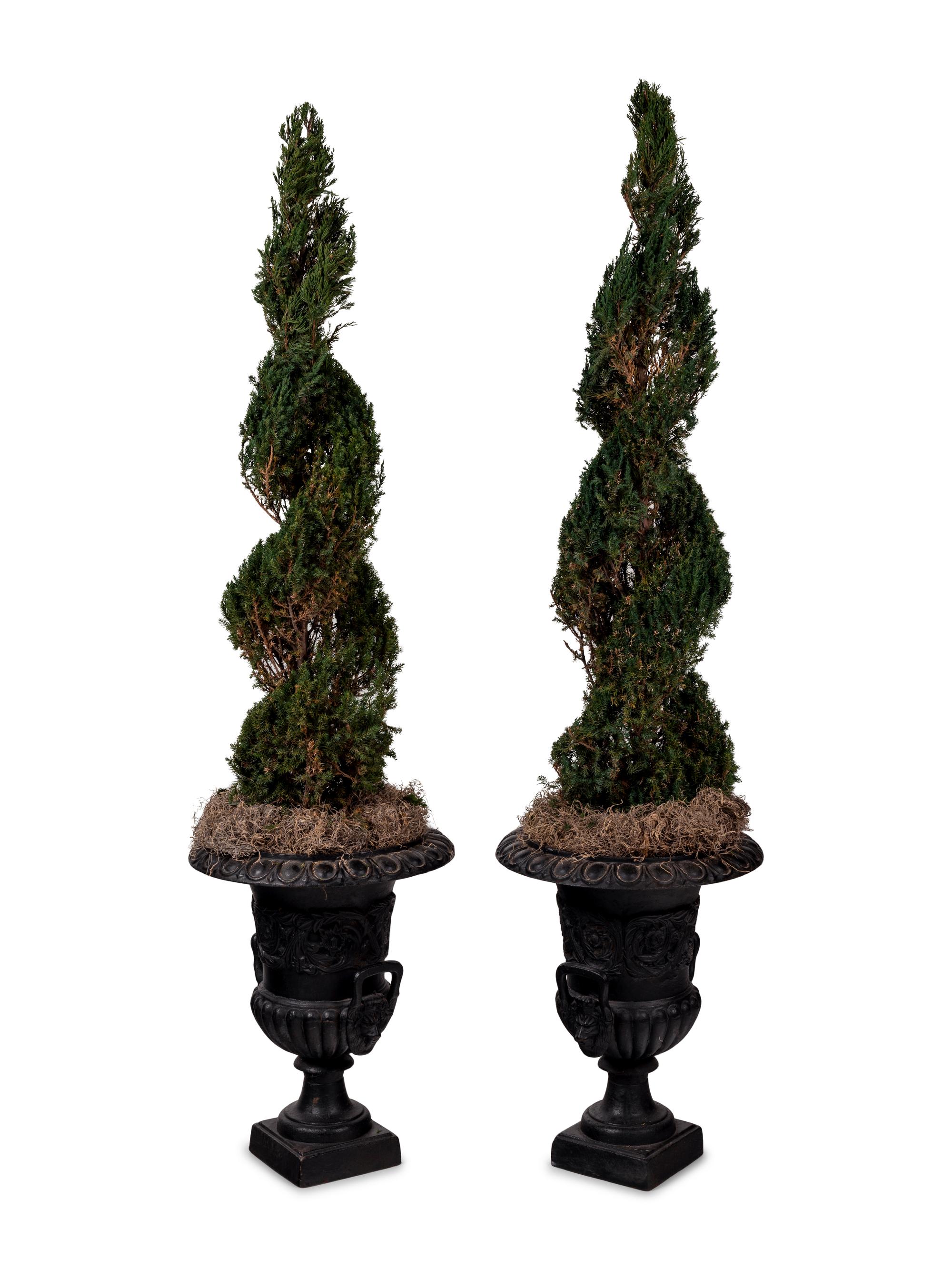 A Pair of Victorian Style Iron Urns with Topiaries