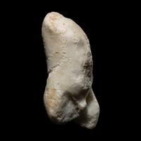 A Roman Marble Torso