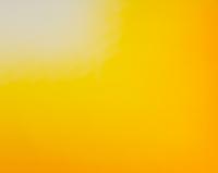 Shadow IV (Yellow)