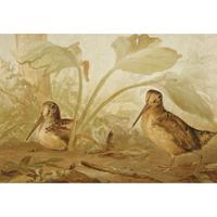 ALEXANDER POPE JUNIOR (AMERICAN 1849-1924) "BLACK DUCK" FROM UPLAND GAME BIRDS AND WATERFOWL OF THE UNITED STATES