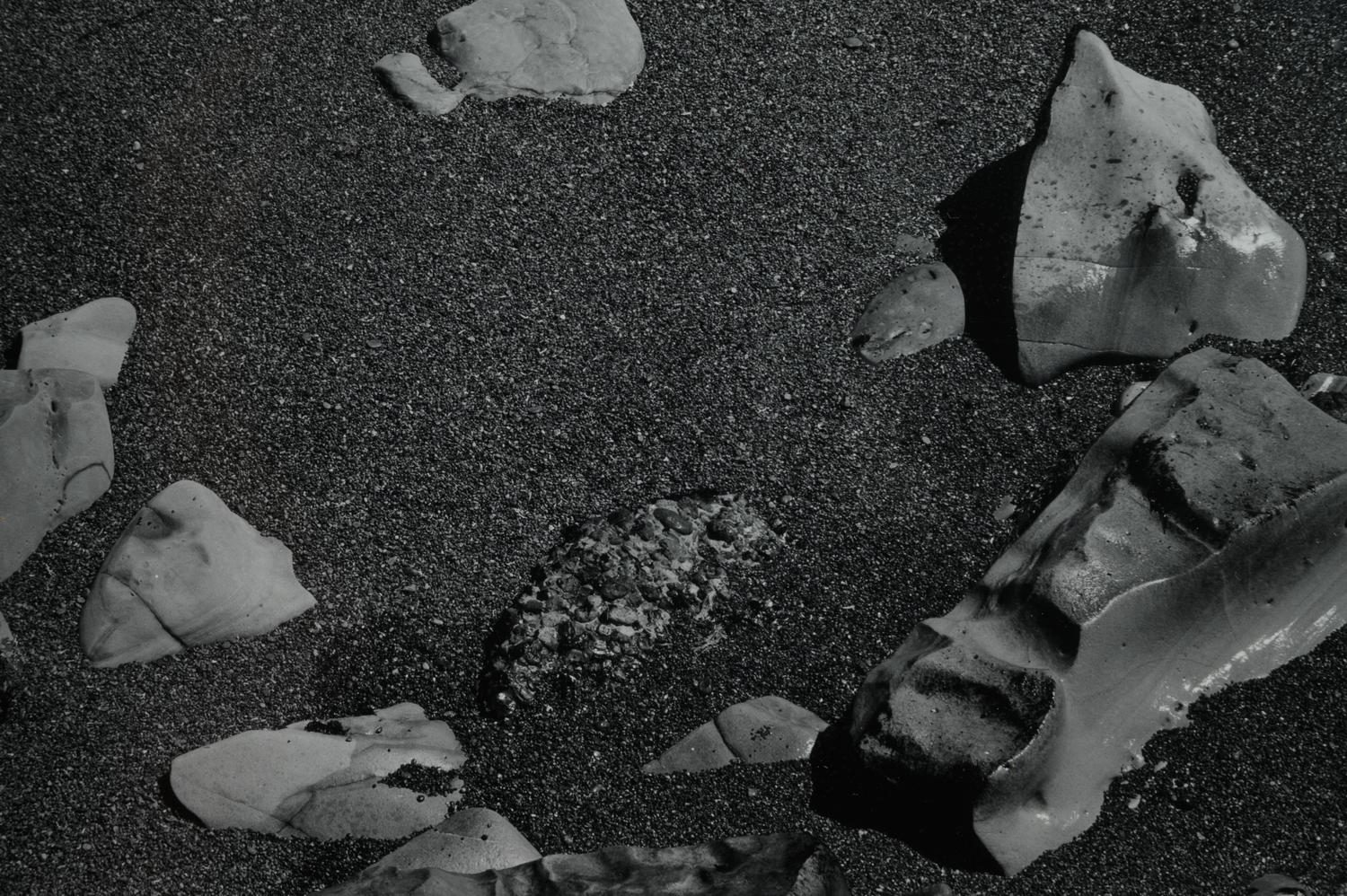 Point Lobos, 1948 (printed later)