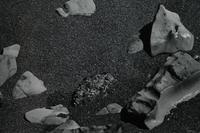 Point Lobos, 1948 (printed later)