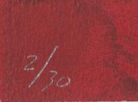 Untitled (Maroon Face)
