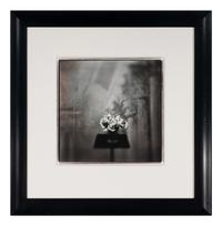 White Roses (Gold Toned) , 1998