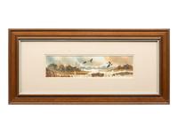 Canadas Flying