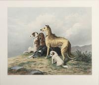 Alfred Lucas (English, 19th Century) after Sir Edwin Henry Landseer (English, 1802-1873)