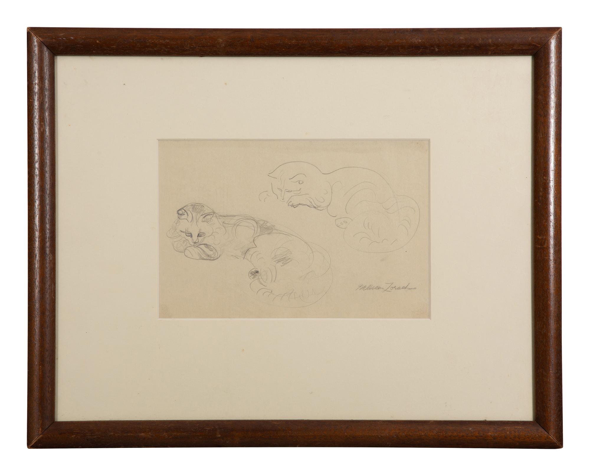 Two Cats