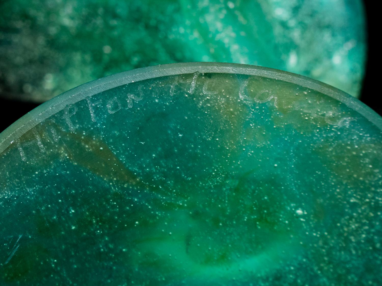 A Set of Thirteen Daum Pâte-de-Verre Cactus Goblets