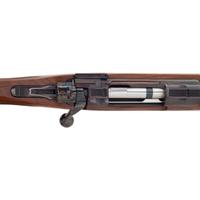 *Ruger M77 Hawkeye in .22-250