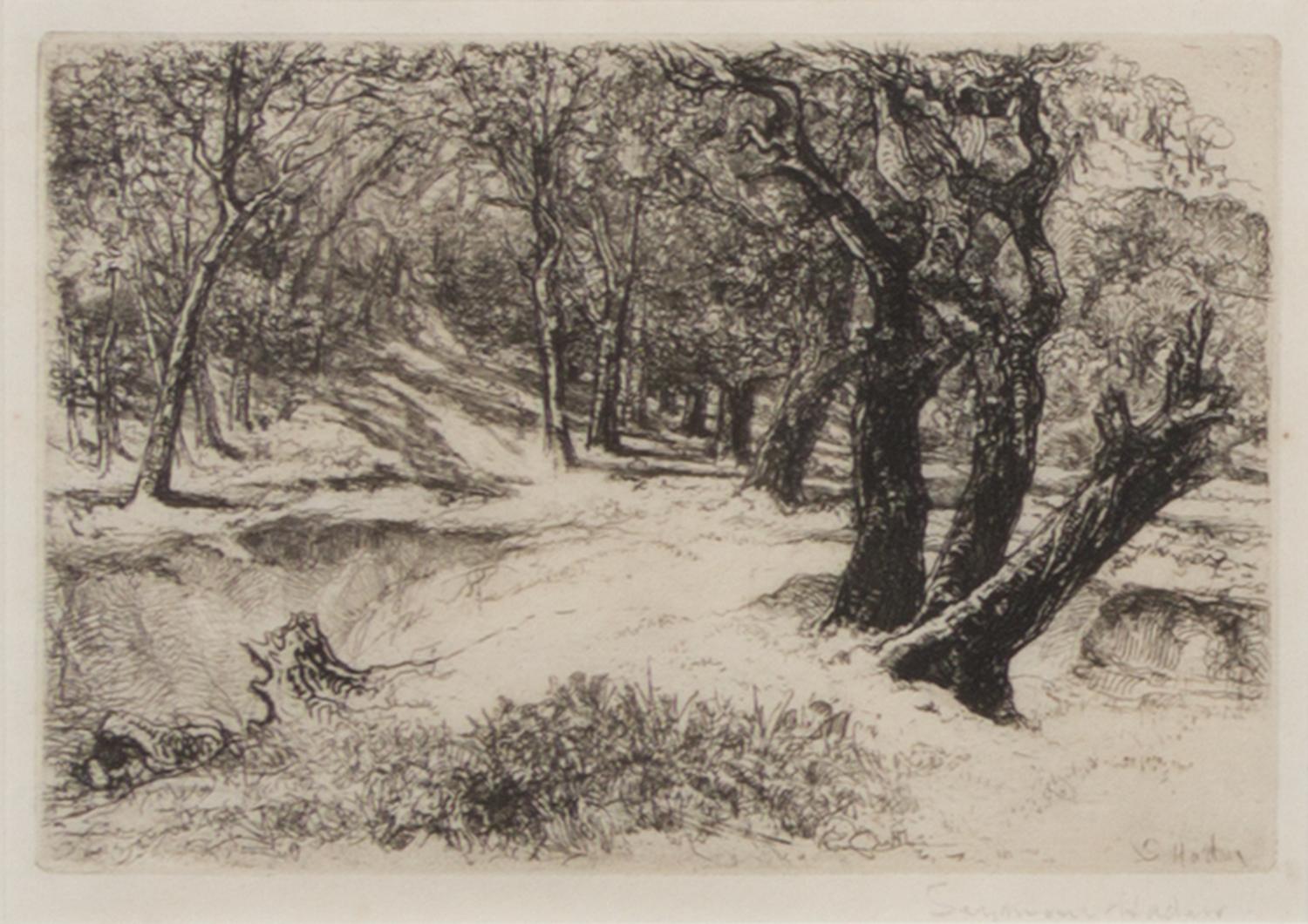 Seymour Haden, (British, 1818-1910), A Sunset in Ireland, Egham Lock, and The Three Sisters (a group of 3 etchings)