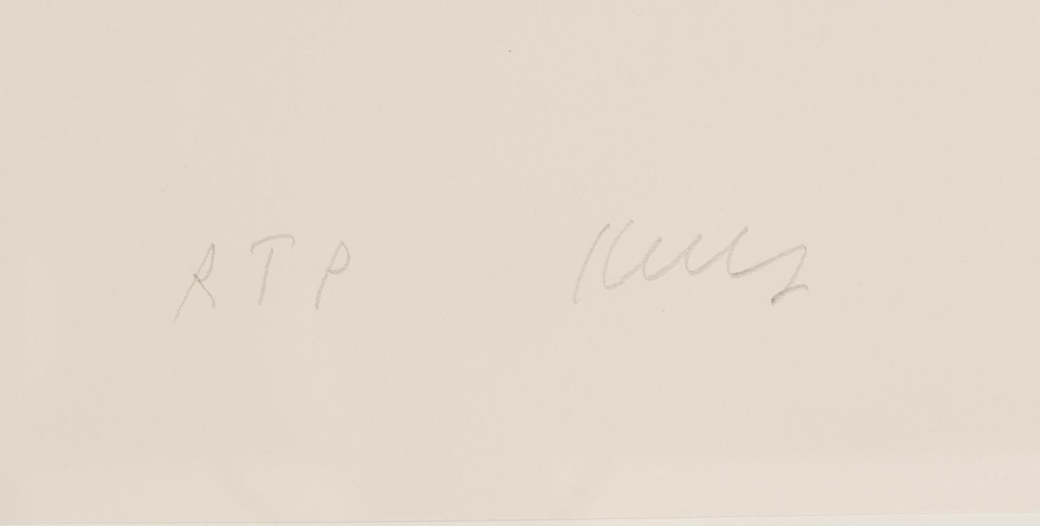 Dark Gray Curve, 1988