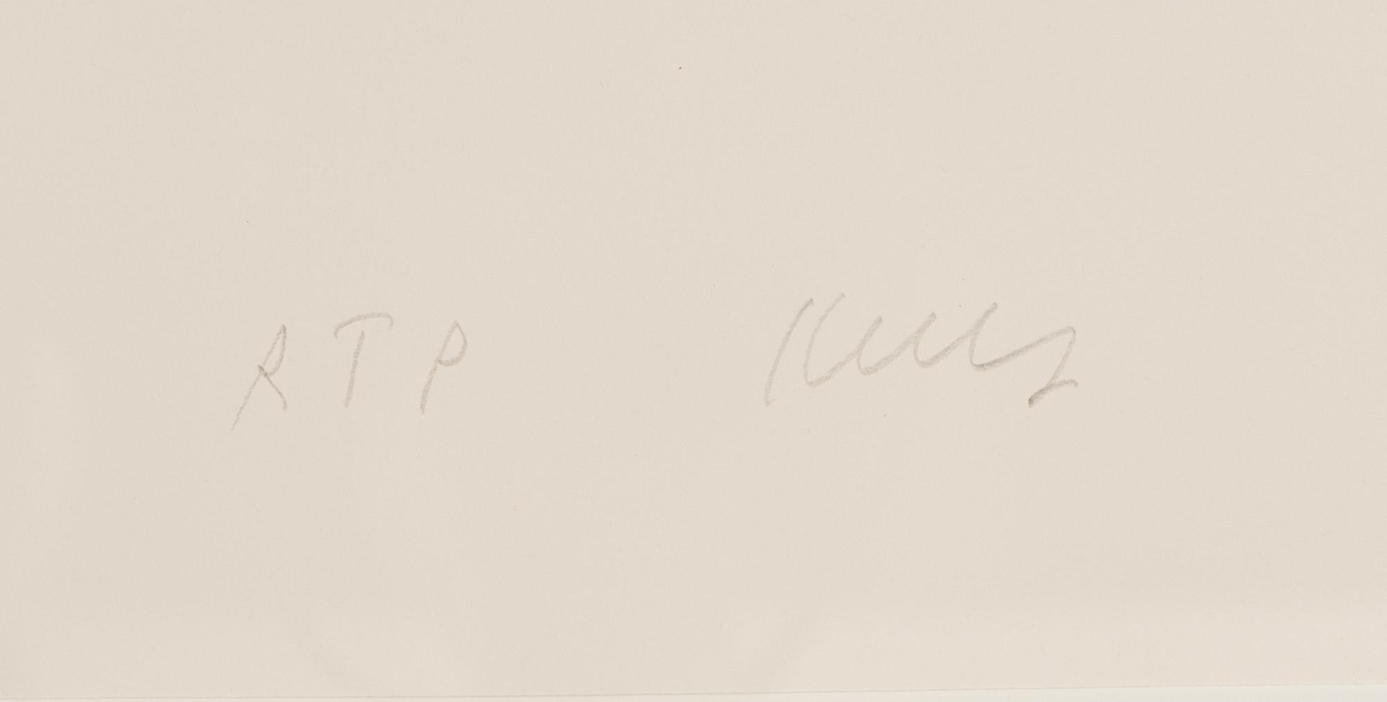 Dark Gray Curve, 1988