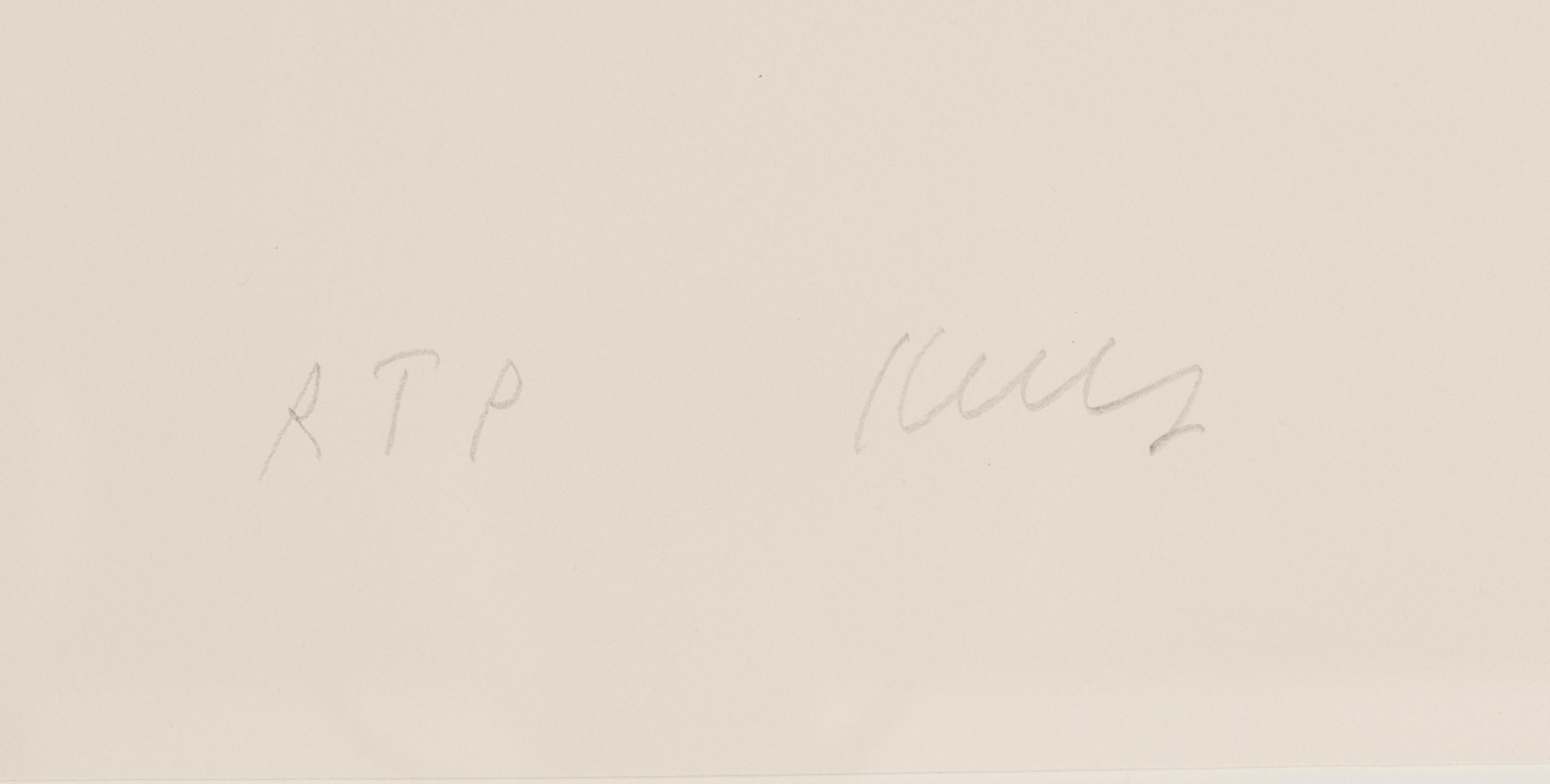 Dark Gray Curve, 1988