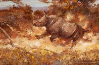 Rhino