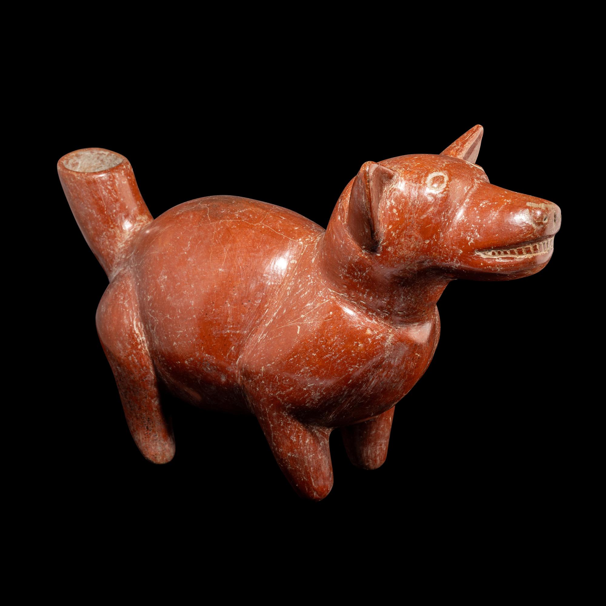 A Colima Dog Effigy Vessel