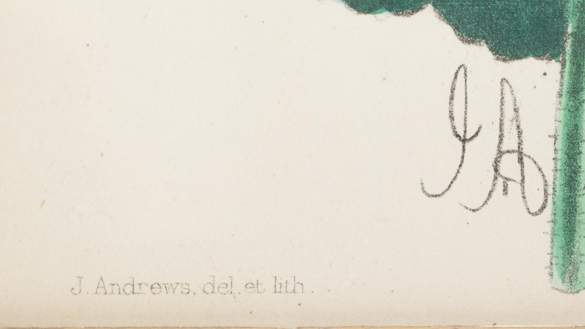 Four Hand-Colored Botanical Lithographs by James Andrews (British, 1801-1876) and an Associated Bigarreau Print