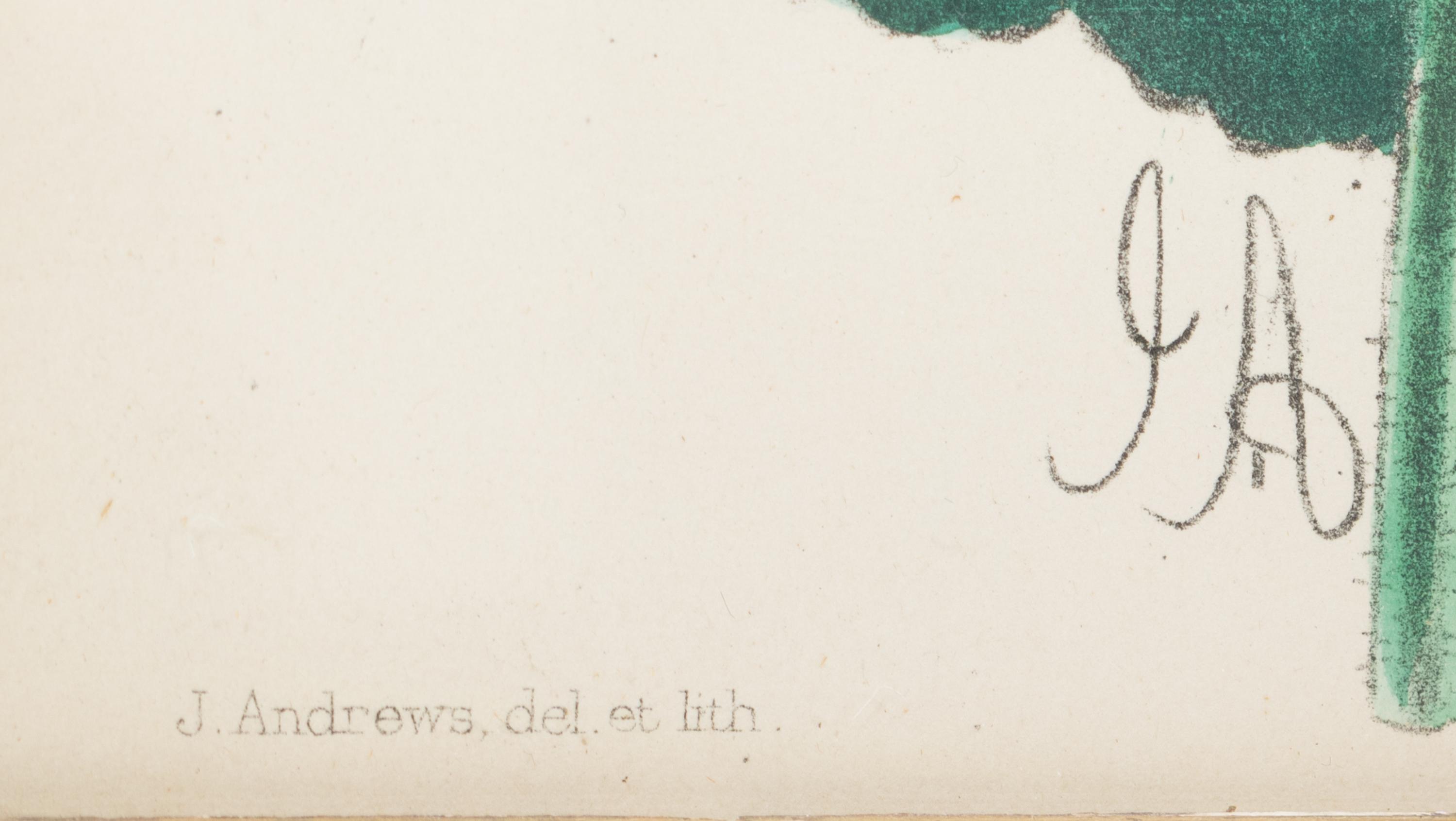 Four Hand-Colored Botanical Lithographs by James Andrews (British, 1801-1876) and an Associated Bigarreau Print