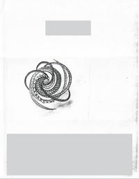 W. Kalich, Diamond, Platinum, and Yellow Gold Brooch