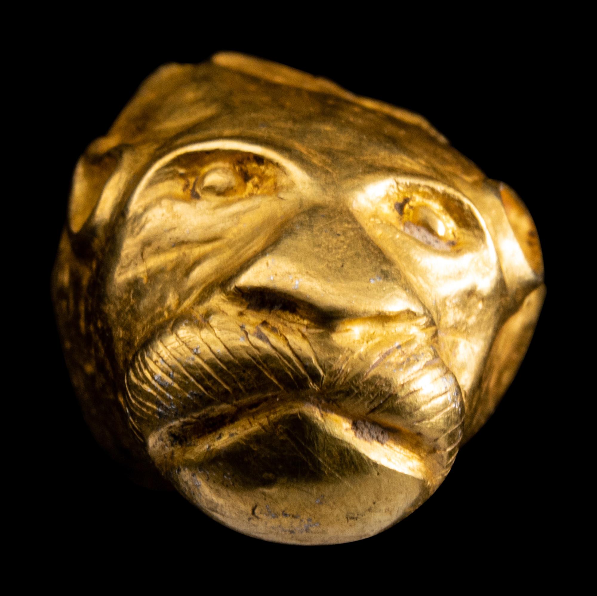An Achaemenid Hollow Gold Head of Lion