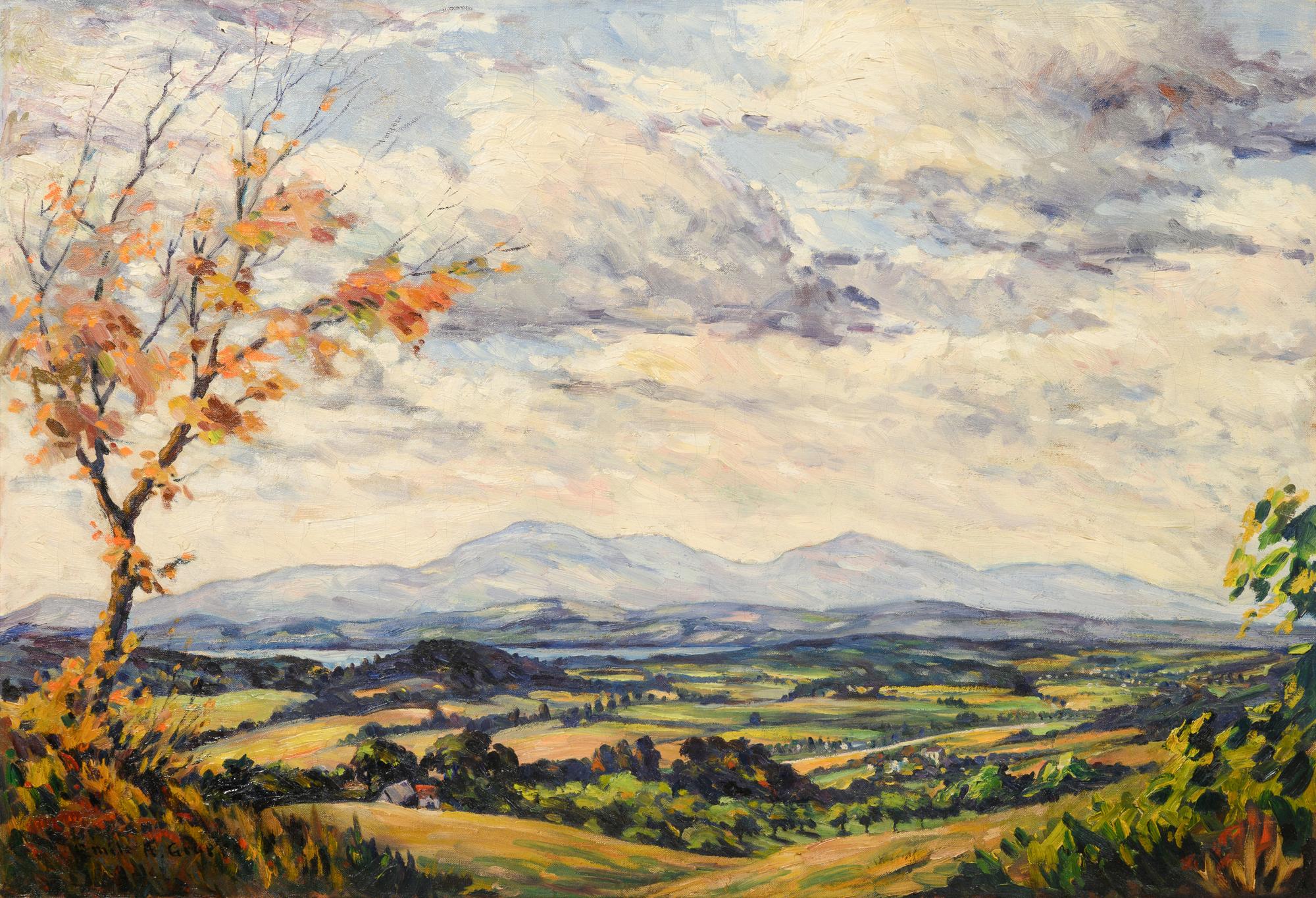 Sweeping Landscape with Tree and Mountains