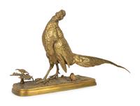Pheasant