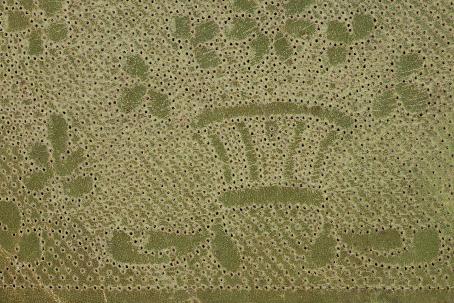 RELEASED TO MUSEUM -- Twenty-Three Lace Patterns, 18th-19th Century