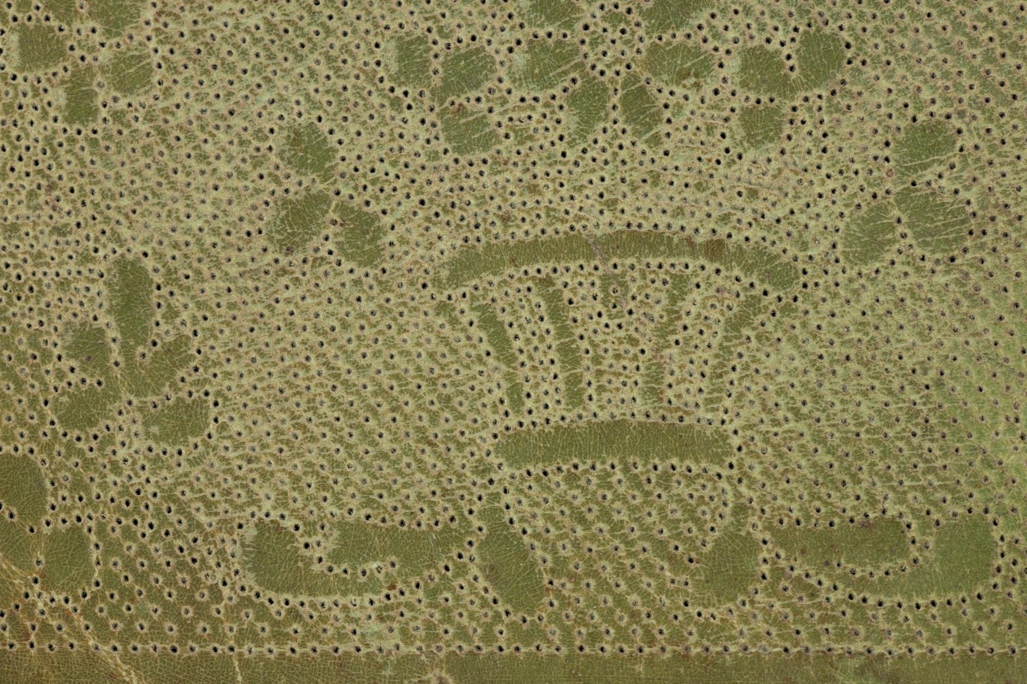 RELEASED TO MUSEUM -- Twenty-Three Lace Patterns, 18th-19th Century