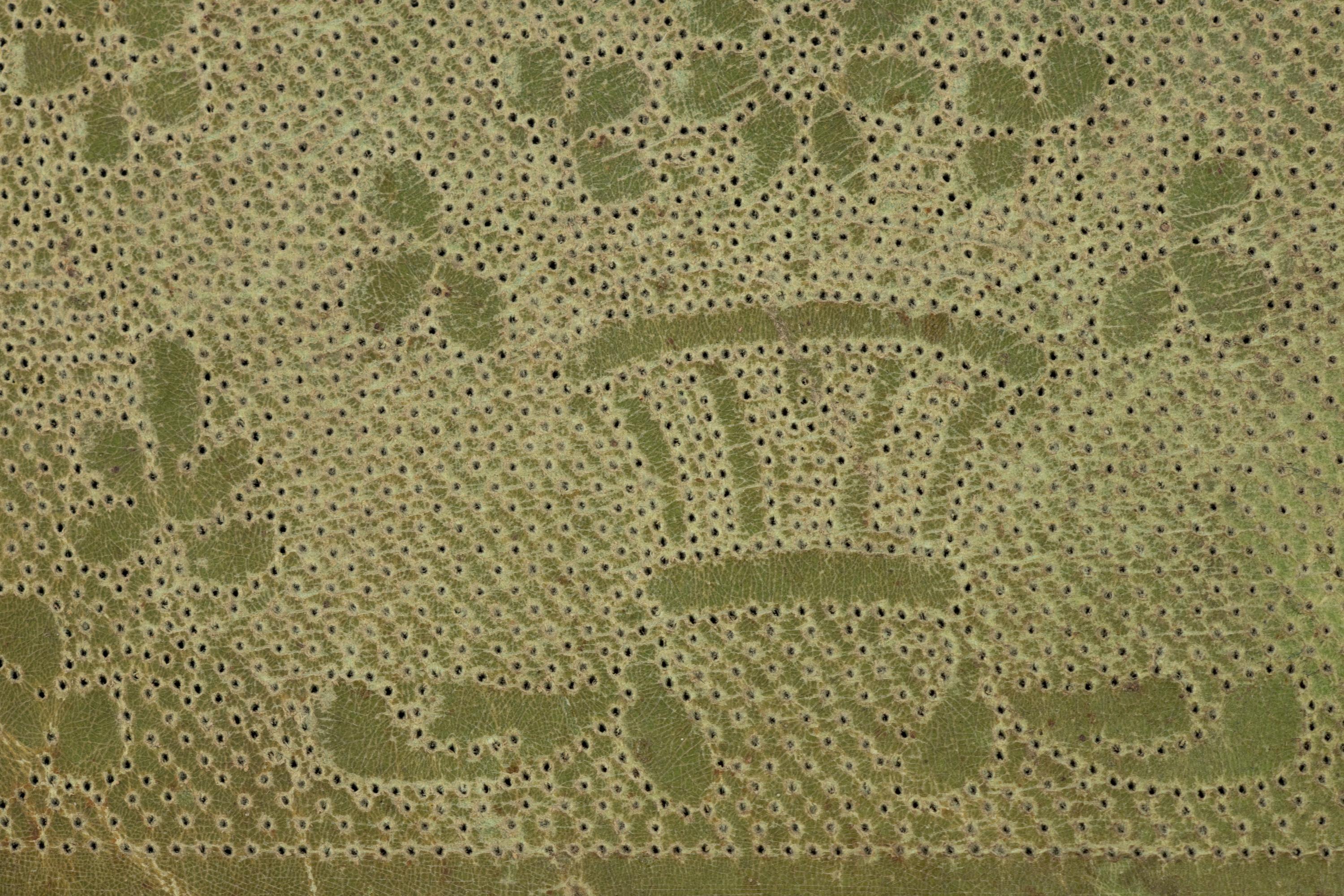 RELEASED TO MUSEUM -- Twenty-Three Lace Patterns, 18th-19th Century