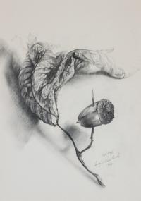 Siegfried Reinhardt, (American, 1925-1984), Botanical Studies, 1962