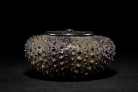A Japanese Lacquer 'Sea Urchin' Box