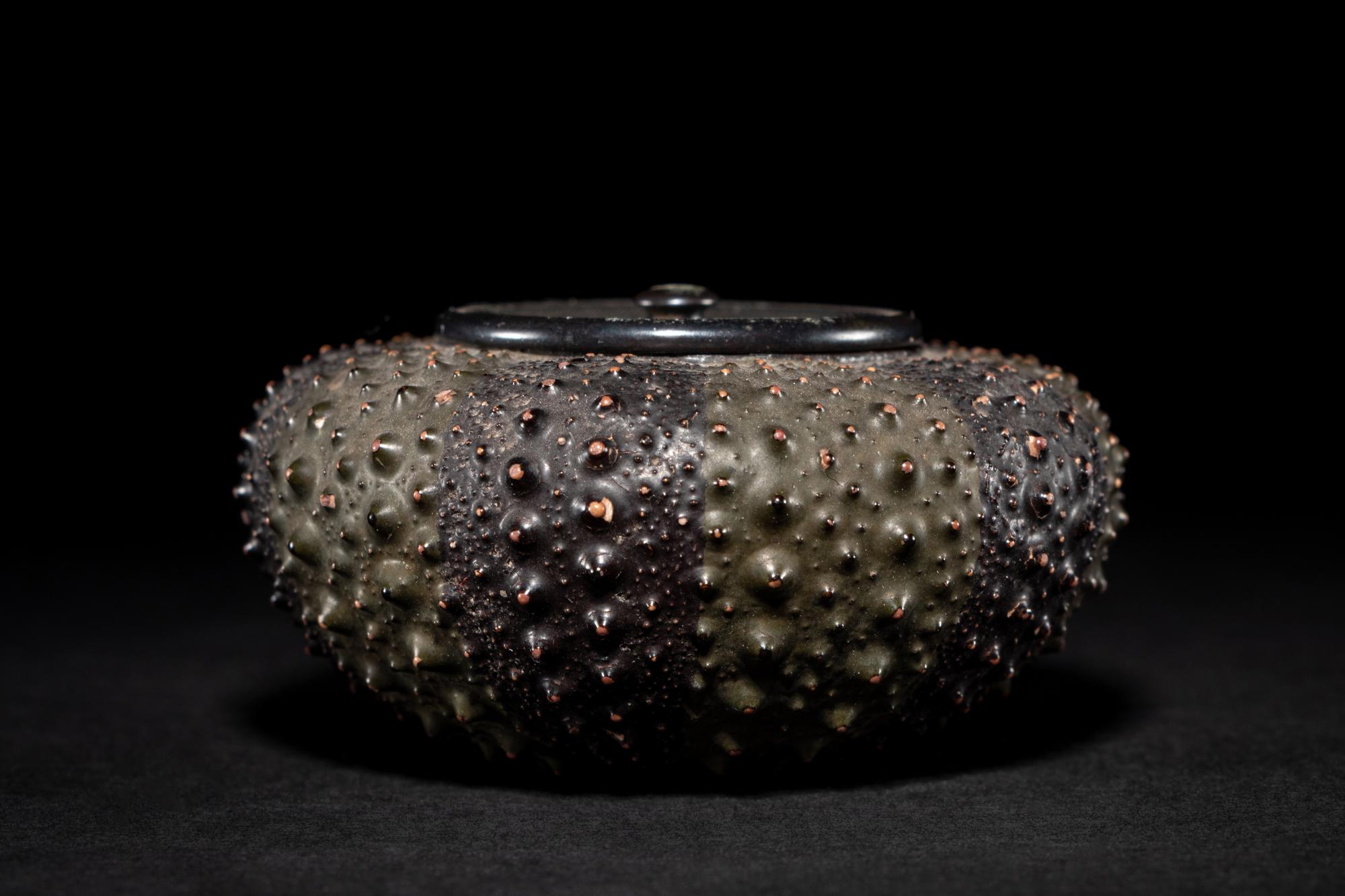 A Japanese Lacquer 'Sea Urchin' Box