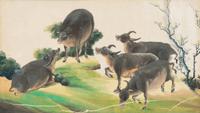A Collection of Twelve Chinese Zoological Ink and Color Pith Paintings