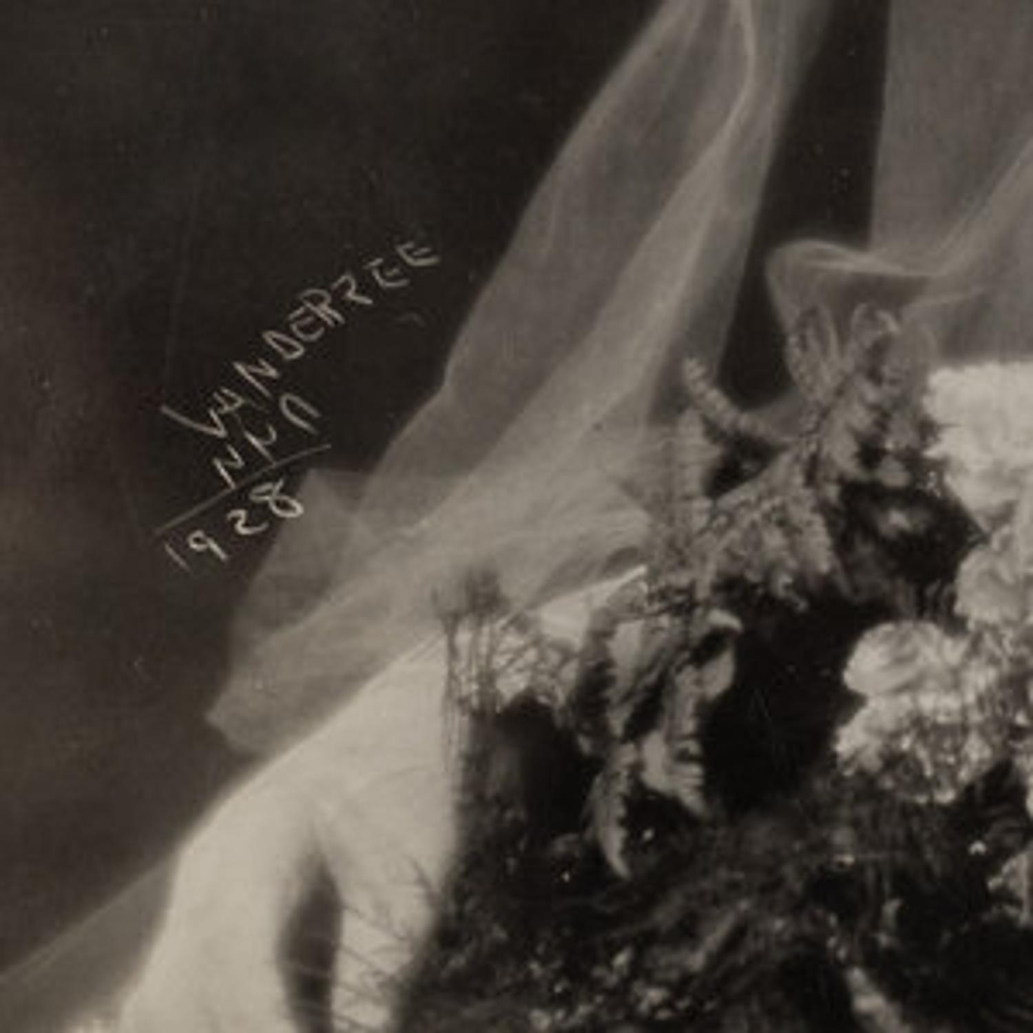 James Van Der Zee (1886-1983) "James Van Der Zee: Eighteen Photographs , 1905-1939"; and selected studio portraits