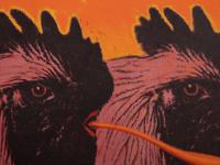 Untitled (Double Cock)