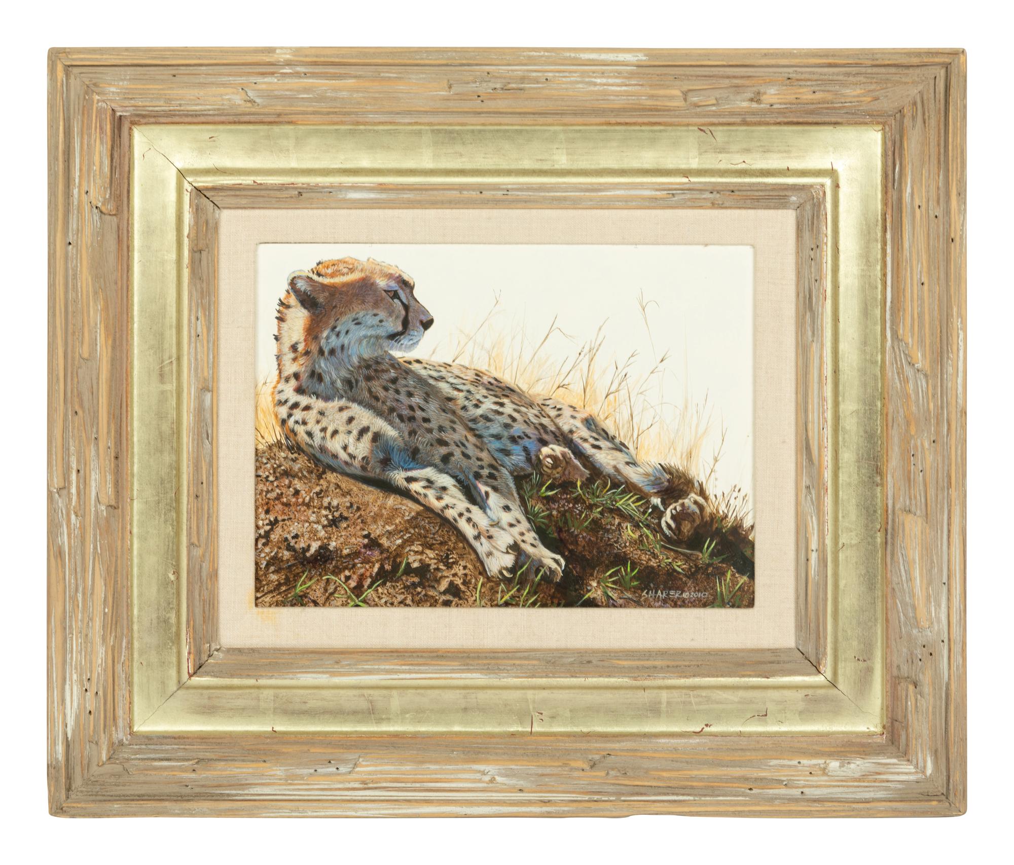 Cheetah , 2010