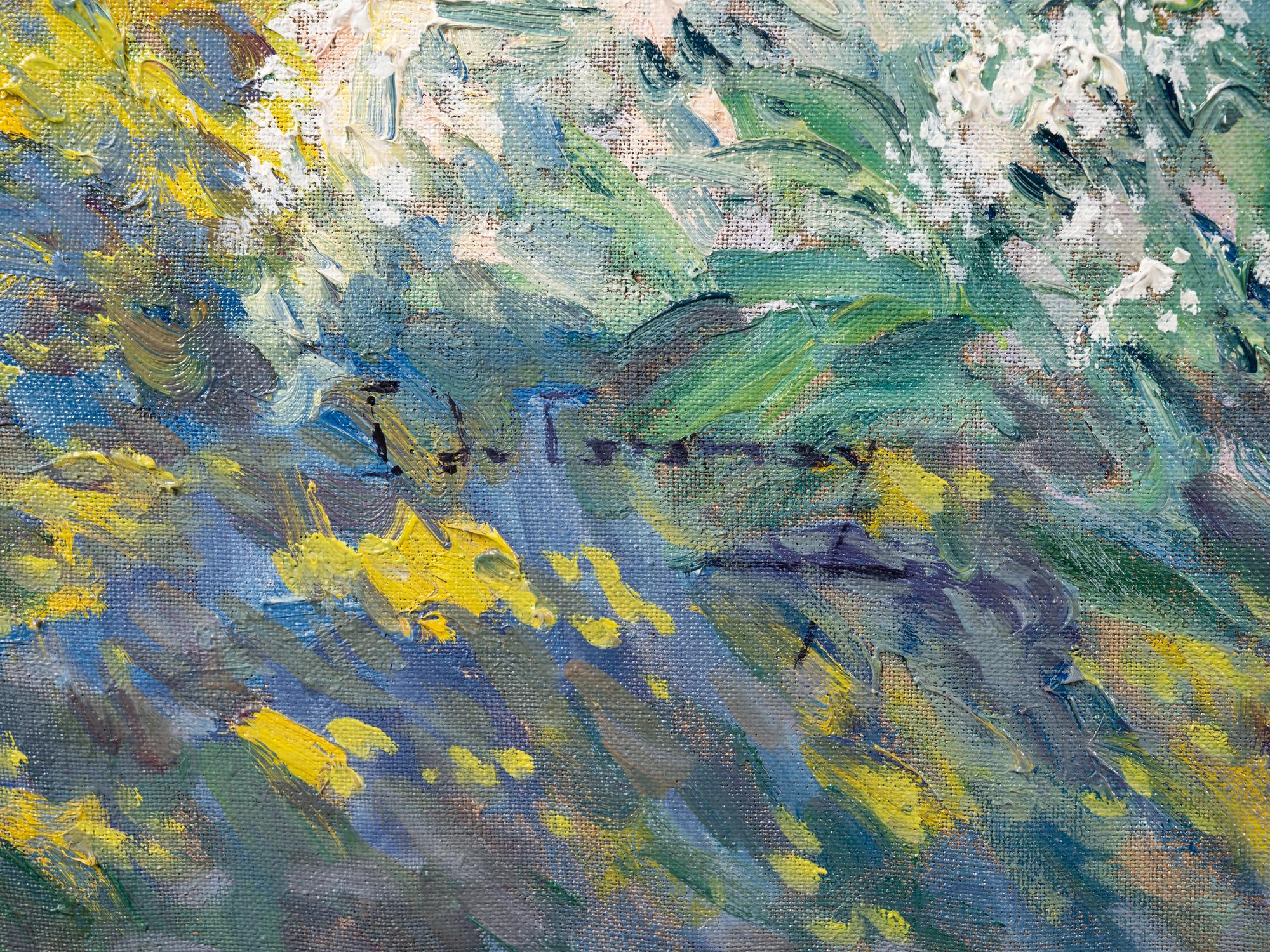 Bassin aux Iris d'eau