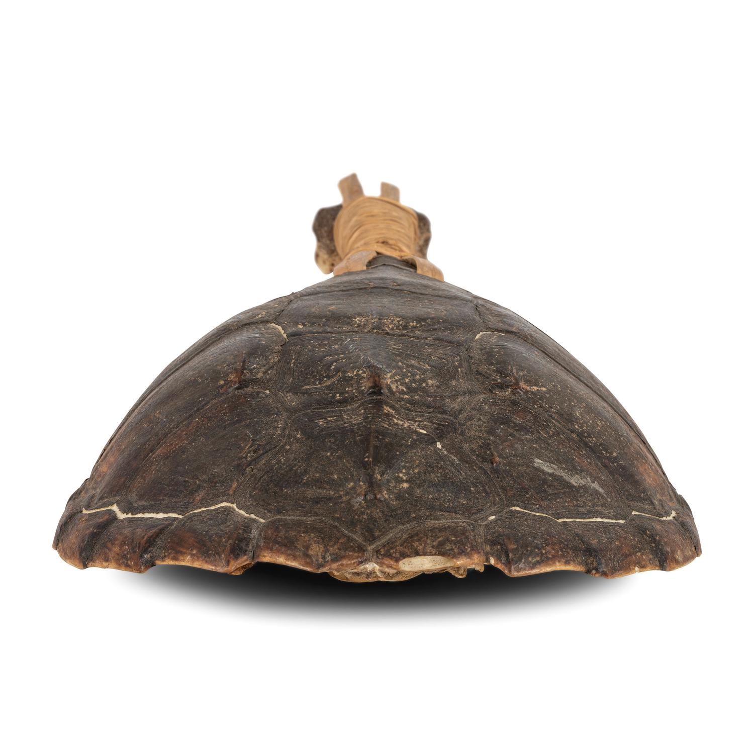 Haudenosaunee Turtle Rattle