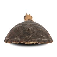 Haudenosaunee Turtle Rattle