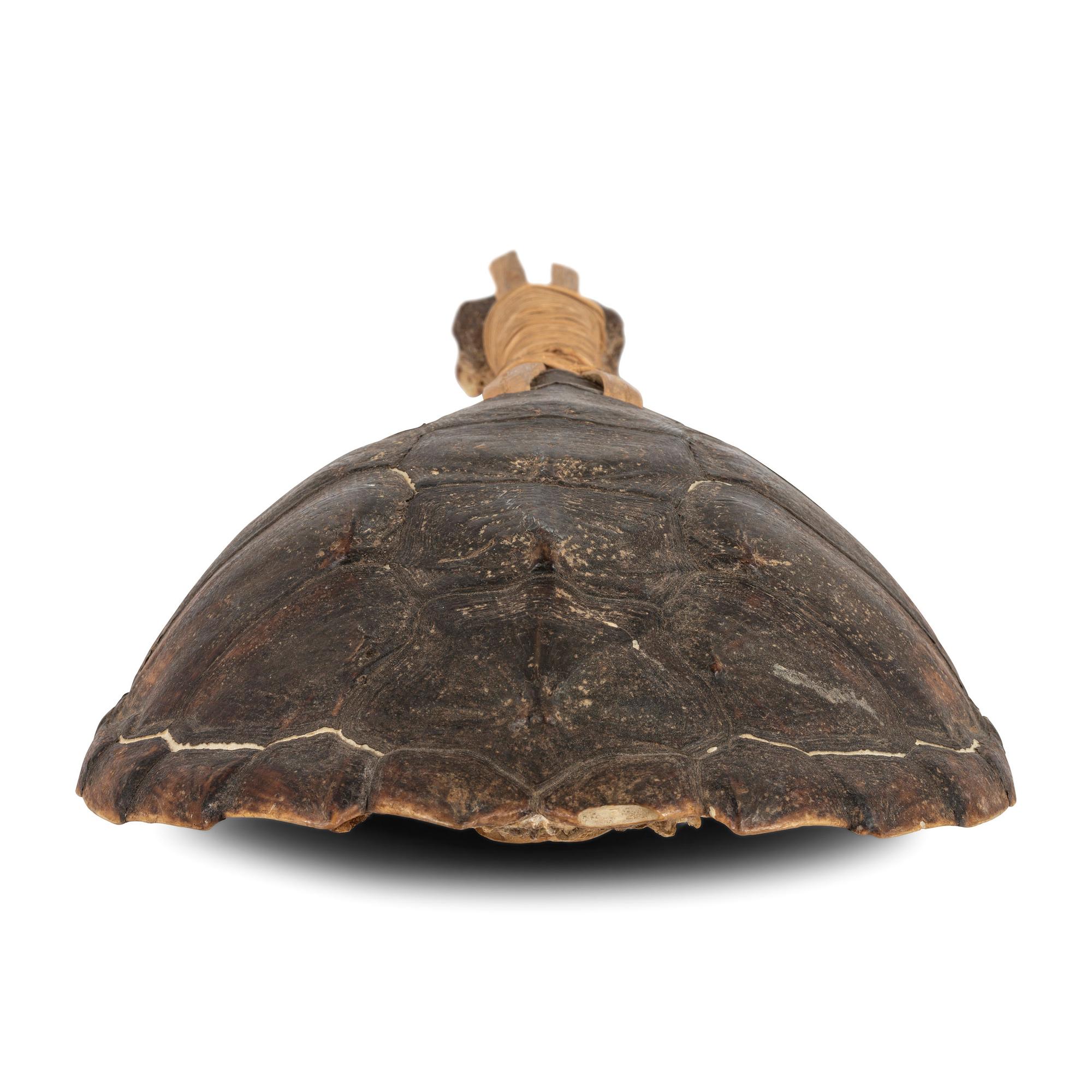 Haudenosaunee Turtle Rattle