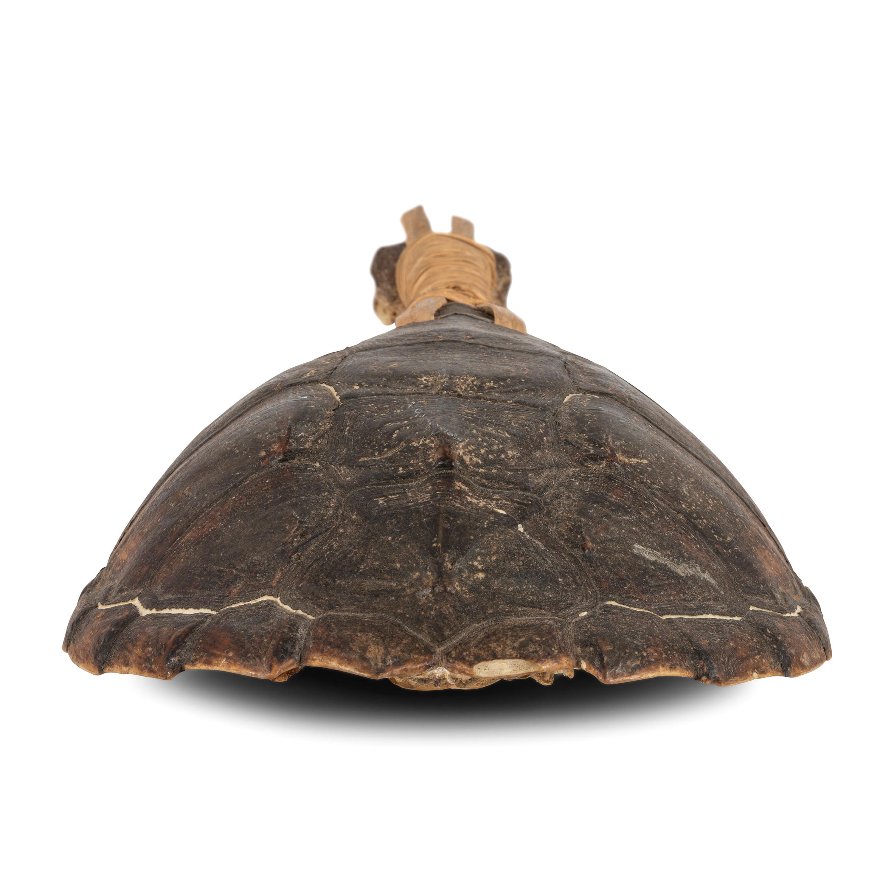 Haudenosaunee Turtle Rattle