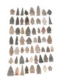 A Variety of Bird Points