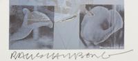 Tanya's Veil (Whale)