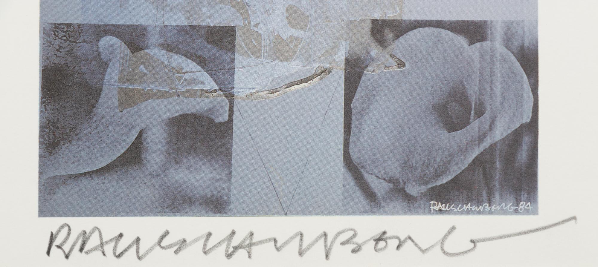 Tanya's Veil (Whale)