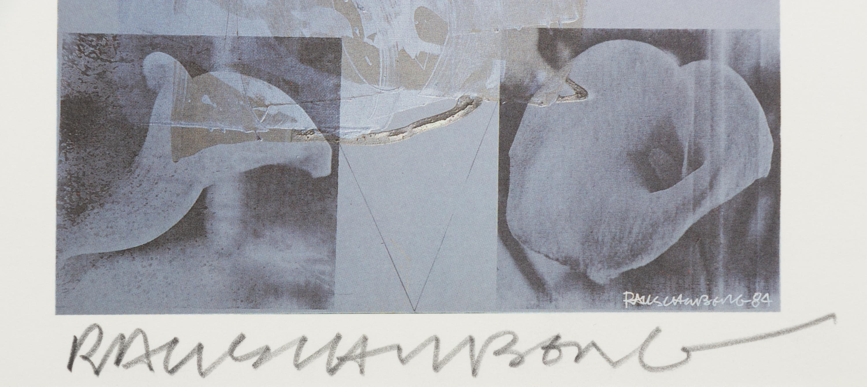 Tanya's Veil (Whale)