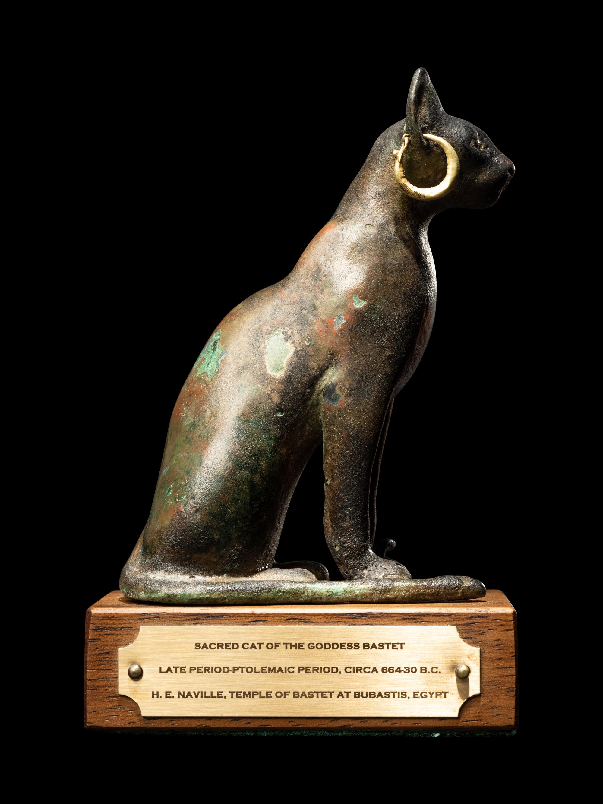 An Egyptian Bronze Cat