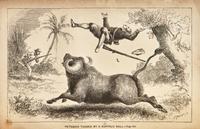 [Literature] Ballantyne, R(obert).M(ichael). The Gorilla Hunters. A Tale of the Wilds of Africa