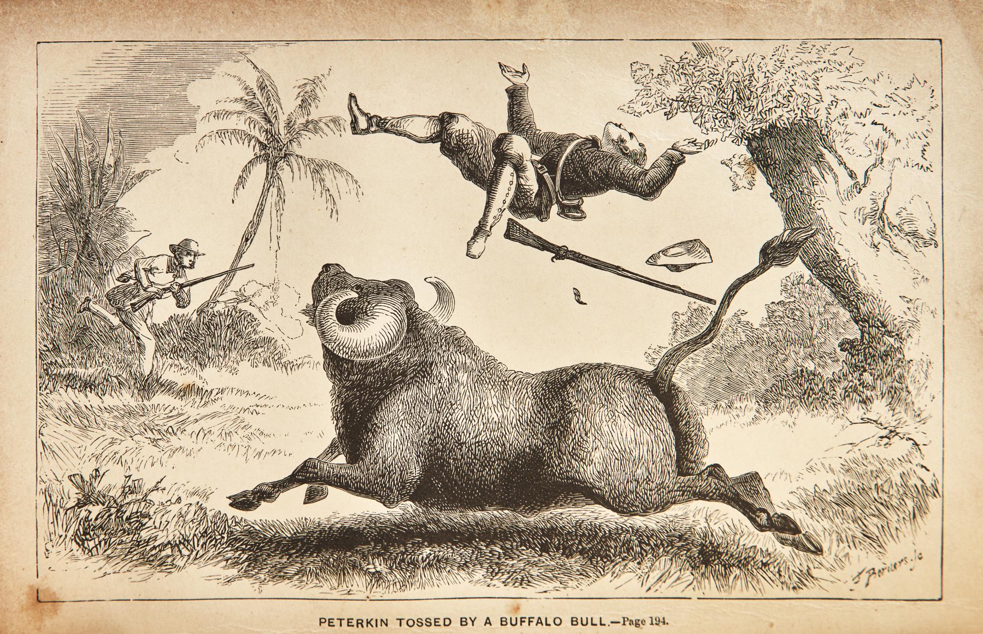 [Literature] Ballantyne, R(obert).M(ichael). The Gorilla Hunters. A Tale of the Wilds of Africa