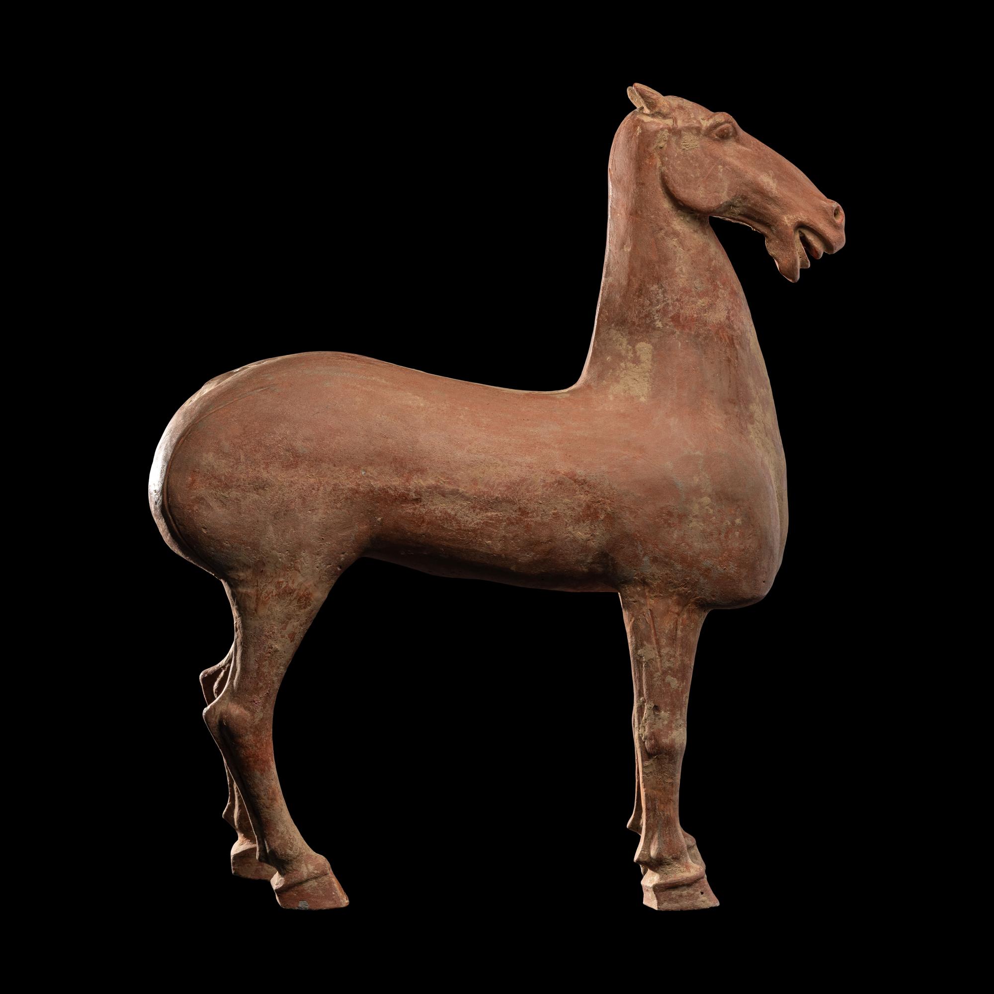 A Han Dynasty Horse