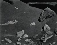 Point Lobos, 1948 (printed later)